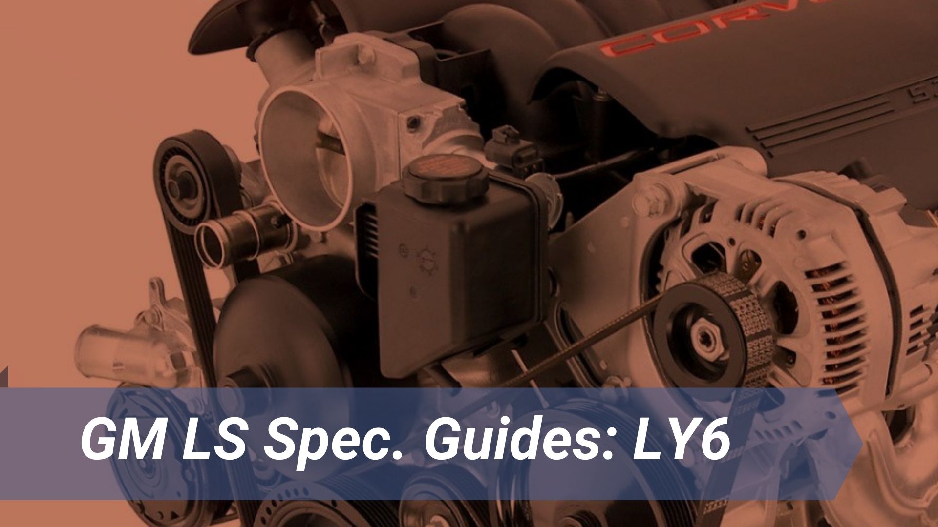 How to Identify Ly6 Engine